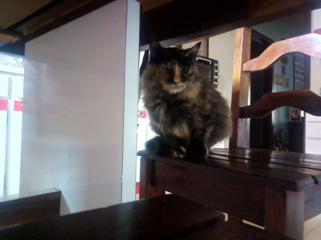 _儿童趣味运动会：培养未来运动天才_，儿童趣味运动会方案